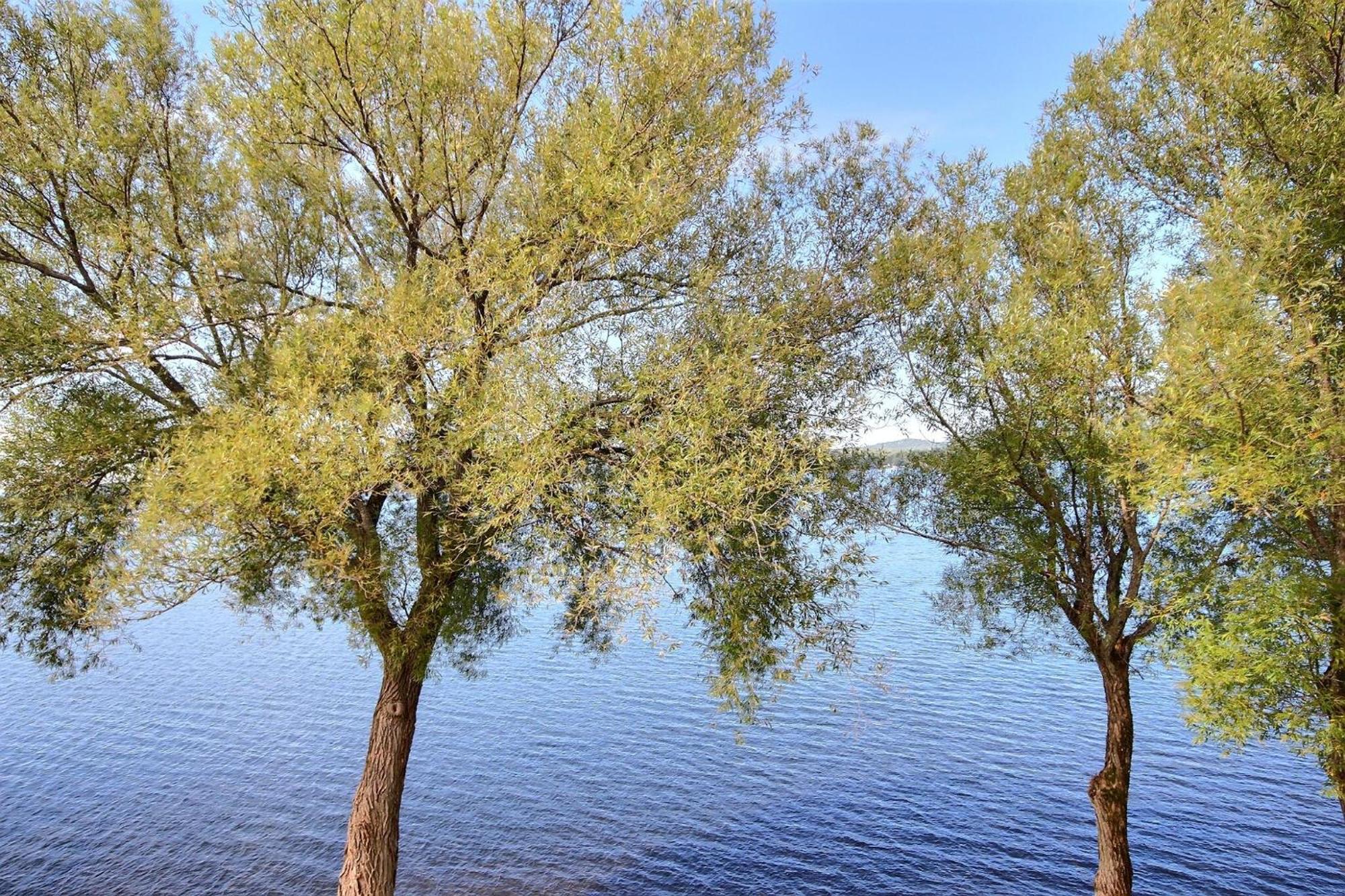 Location Tourisme Estrie - Oberge Du Village Magog ภายนอก รูปภาพ